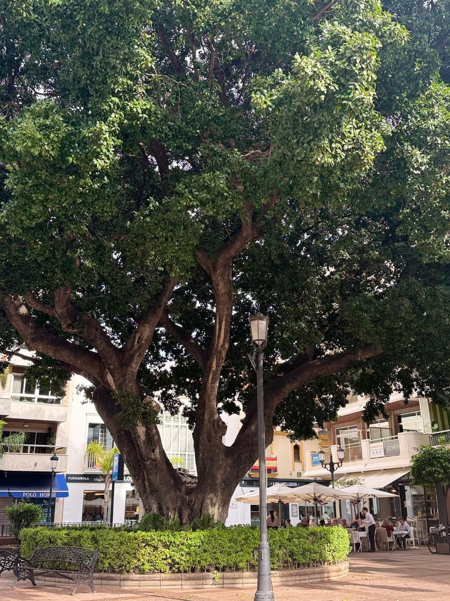 Centrobeach Apartment Fuengirola 250M From Beach מראה חיצוני תמונה